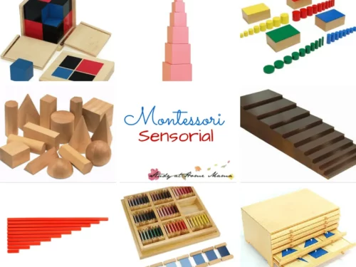 Montessori Tools